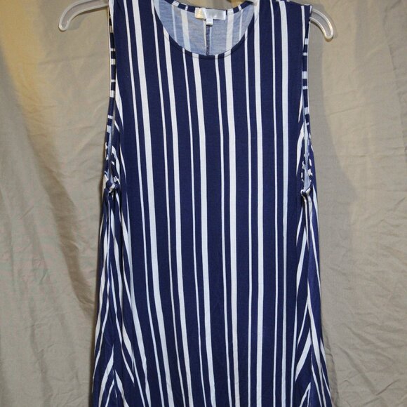 Riley & James Women's 1X A-Line Dress Blue White Striped Stretch Pockets - Picture 1 of 10
